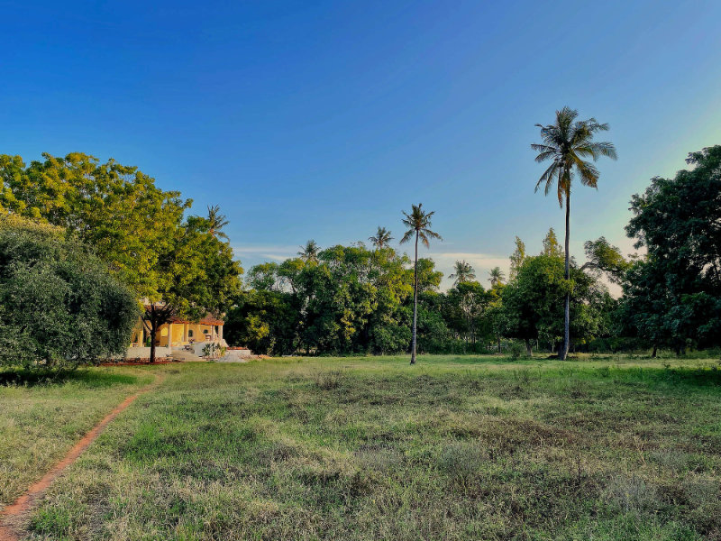 Unique Villa embedded in Nature in Takaungu, Kilifi, Kenya