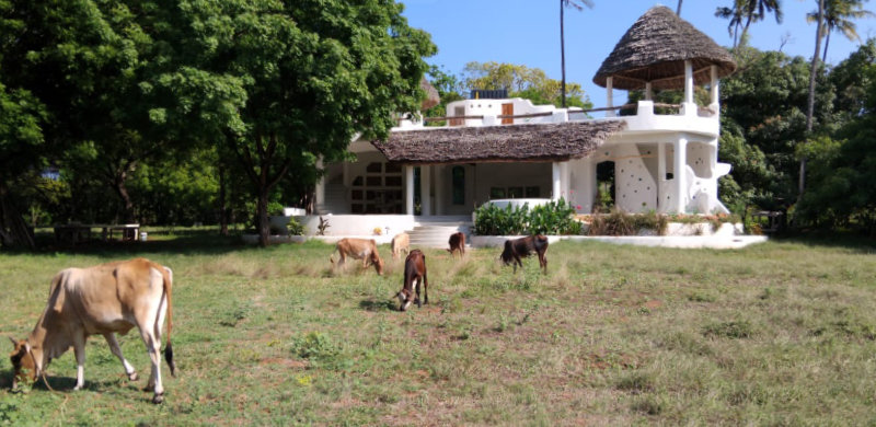 Unique Villa embedded in Nature in Takaungu, Kilifi, Kenya