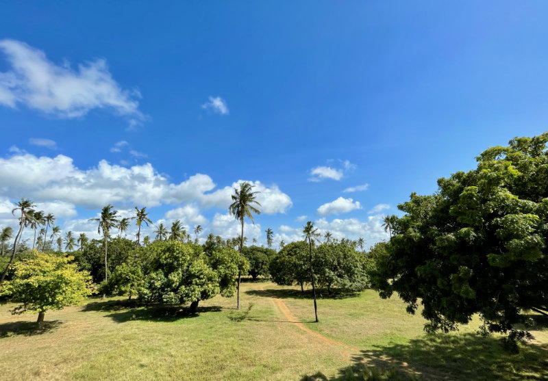 Unique Villa embedded in Nature in Takaungu, Kilifi, Kenya