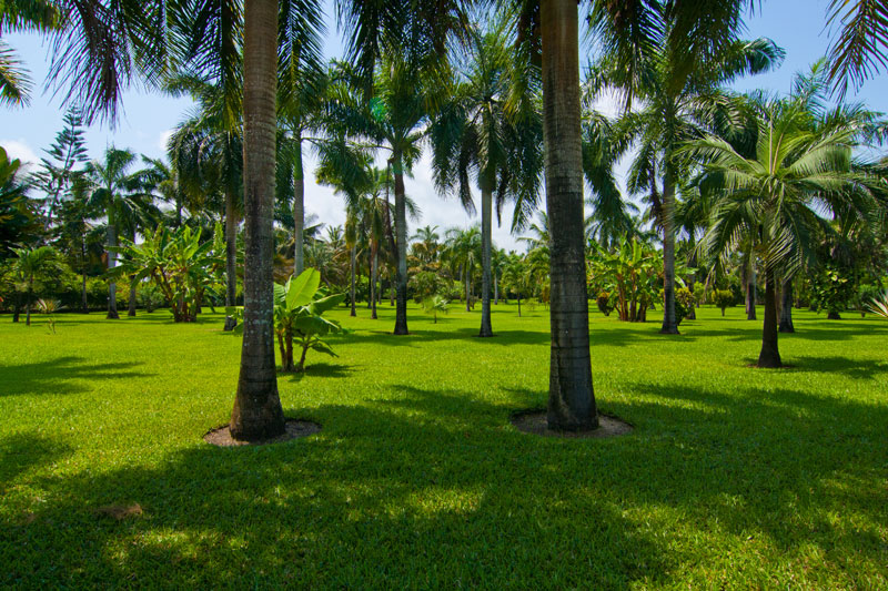 Large Villa in Diani Beach for big groups, Kenya