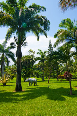 Large Villa in Diani Beach for big groups, Kenya