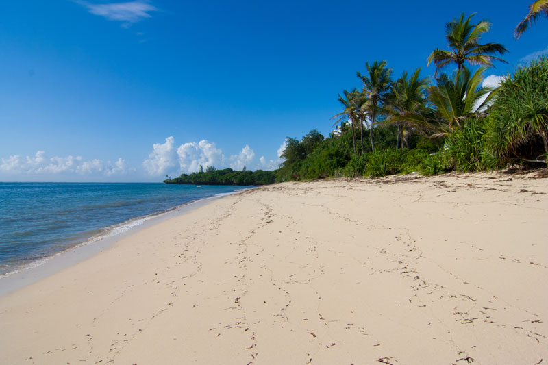 Beachfront Villa in Vipingo, Kilifi Area, Kenya