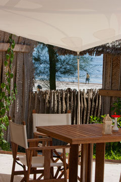 Tropical Beachfront Bungalows for 2 to 6 guests on Zanzibar