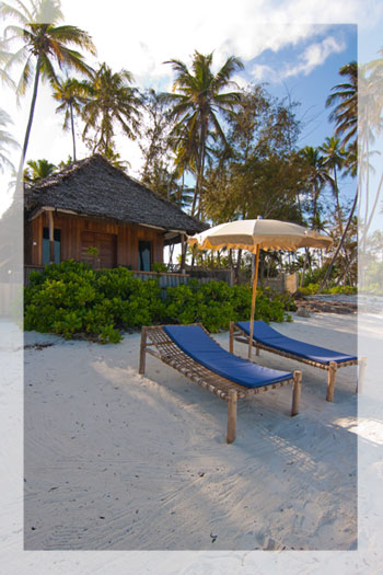 Tropical Beachfront Bungalows for 2 to 6 guests on Zanzibar