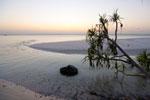 Chwaka Bay
