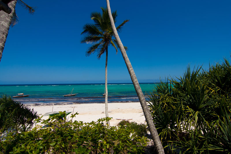 Family Friendly Tropical Villa on the beach in Zanzibar