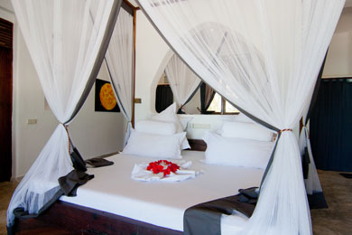 Luxurious Beachfront Villa in Zanzibar