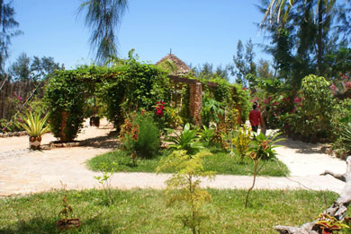 Luxurious Seafront Cottage in Zanzibar